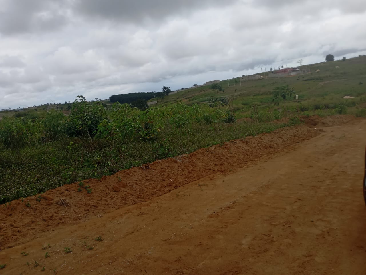 🏡 Terrain à vendre – Jacqueville Avagou 🌴