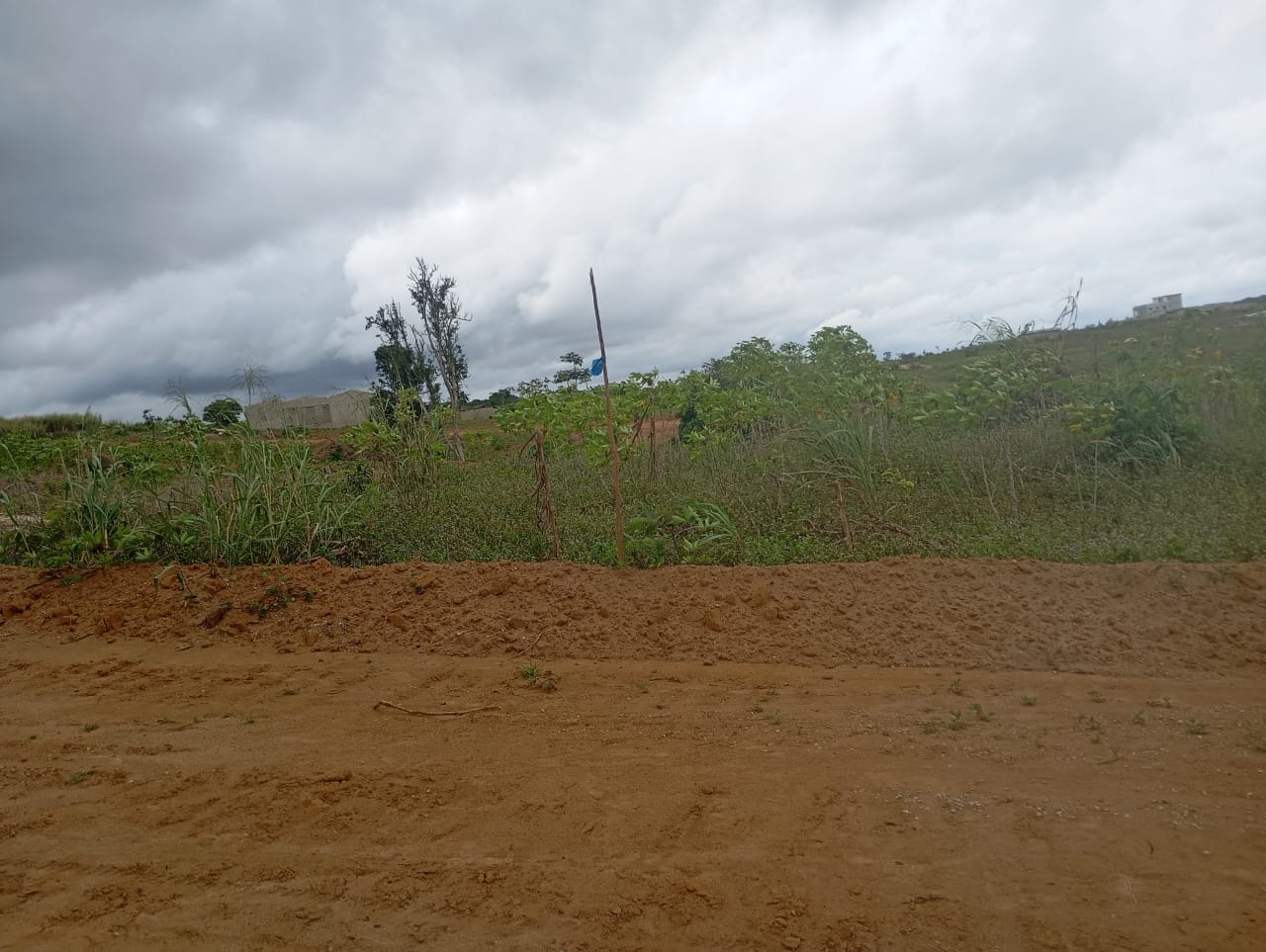 🌞 BON WEEK-END À TOUS ! 🌴